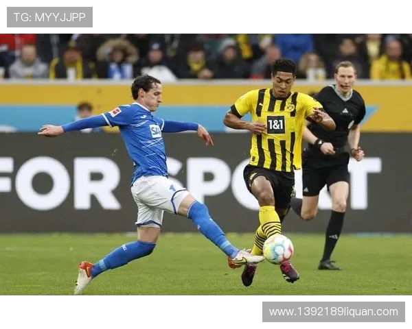 德甲联赛中的多形态球队分类及竞技风格解析